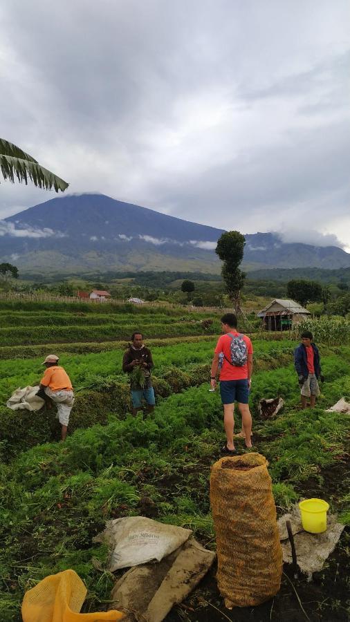 Family Rinjani Bungalow Sajang Exterior photo