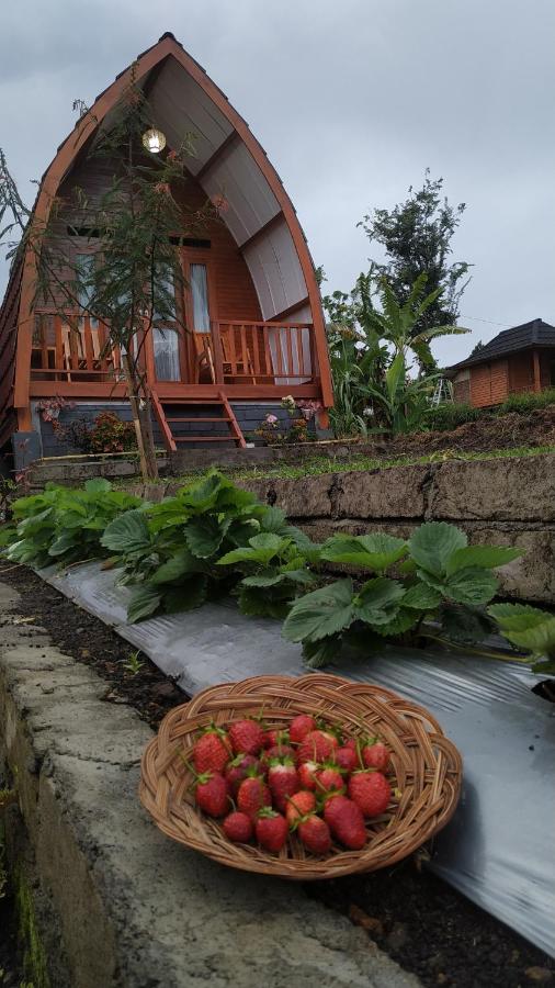 Family Rinjani Bungalow Sajang Exterior photo