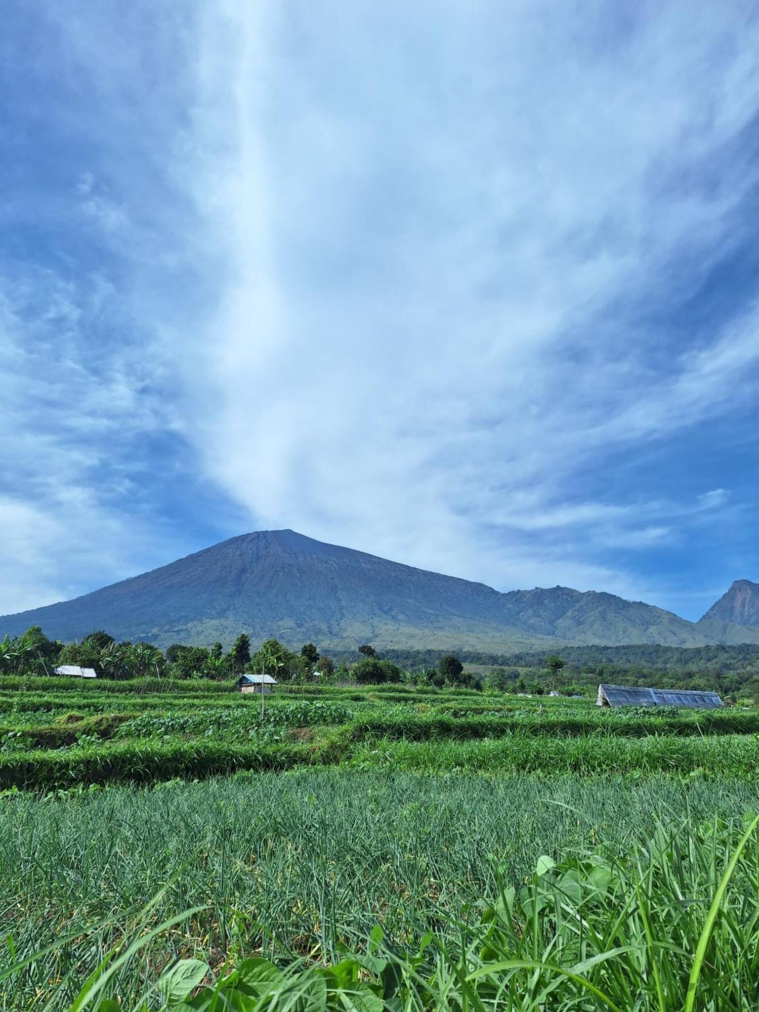 Family Rinjani Bungalow Sajang Exterior photo